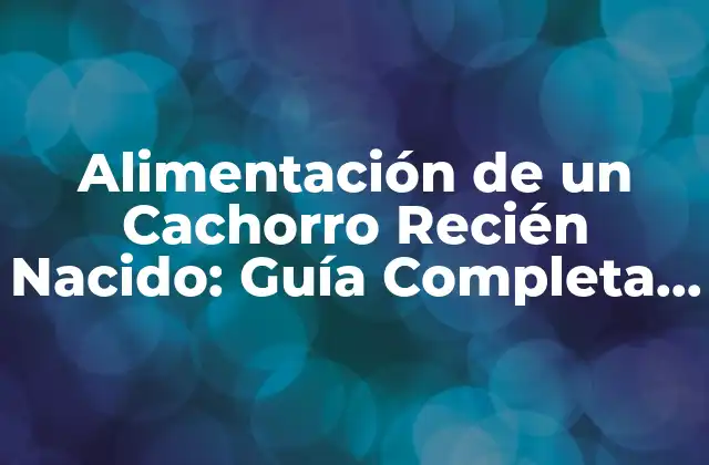 Alimentación de un Cachorro Recién Nacido: Guía Completa para Padres Primerizos