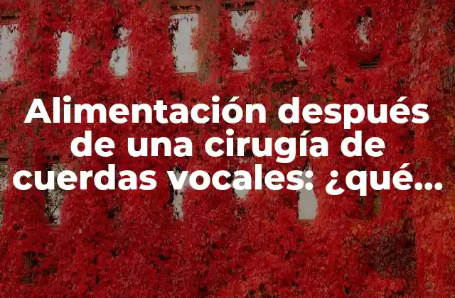 Alimentación Después de una Cirugía de Cuerdas Vocales: ¿qué Comer?