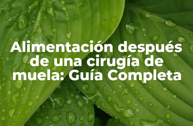 Alimentación Después de una Cirugía de Muela: Guía Completa