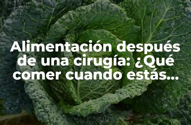 Alimentación Después de una Cirugía: ¿qué Comer Cuando Estás Recién Operada?