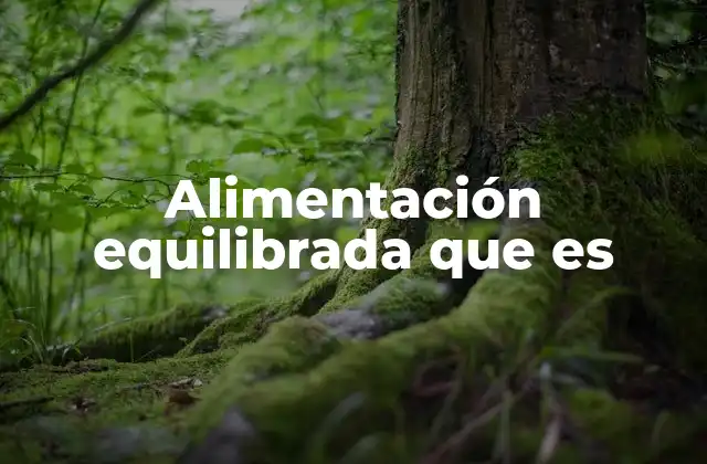 Alimentación Equilibrada que es