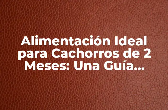 Alimentación Ideal para Cachorros de 2 Meses: una Guía Completa