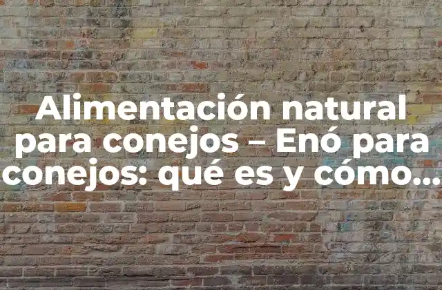 Alimentación Natural para Conejos – Enó para Conejos: Qué es y Cómo Prepararlo