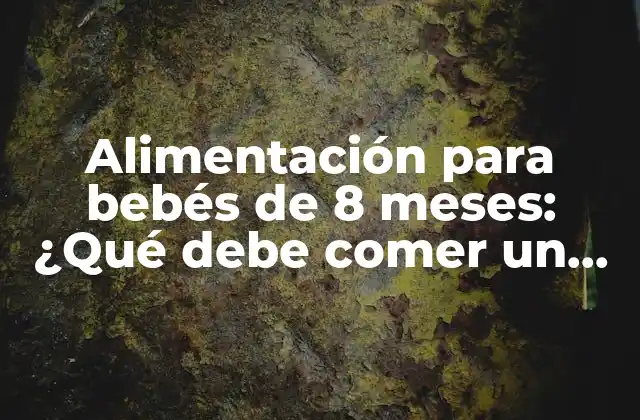 Alimentación para Bebés de 8 Meses: ¿qué Debe Comer un Bebé de 8 Meses?