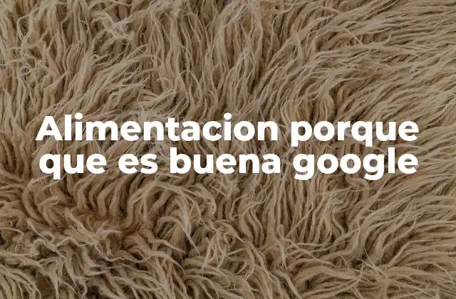 Alimentacion Porque que es Buena Google