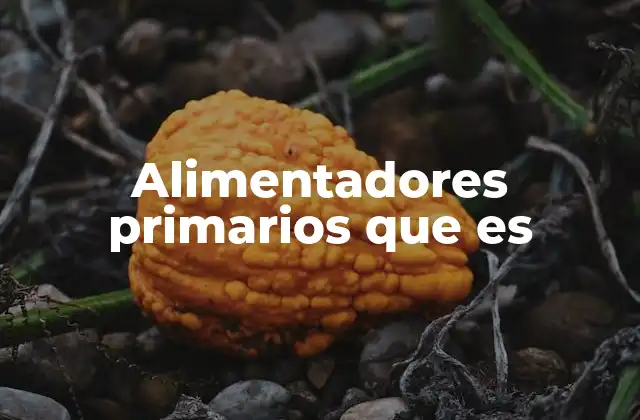 Alimentadores Primarios que es