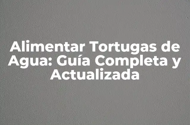 Alimentar Tortugas de Agua: Guía Completa y Actualizada