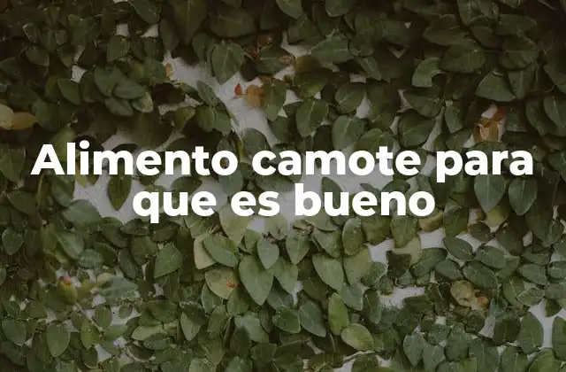 Alimento Camote para que es Bueno