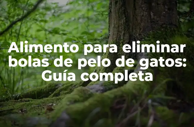 Alimento para Eliminar Bolas de Pelo de Gatos: Guía Completa