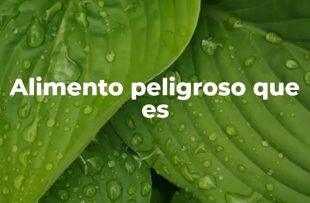 Alimento Peligroso que es