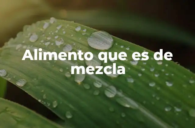 La importancia de los alimentos de mezcla en la nutrición moderna