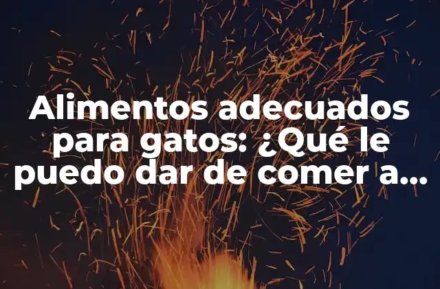 Alimentos Adecuados para Gatos: ¿qué Le Puedo Dar de Comer a un Gato?