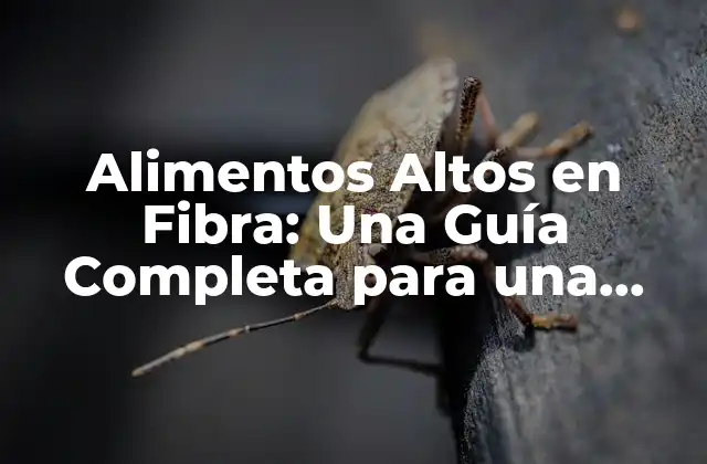 Alimentos Altos en Fibra: una Guía Completa para una Salud Intestinal Ynutrición Óptima