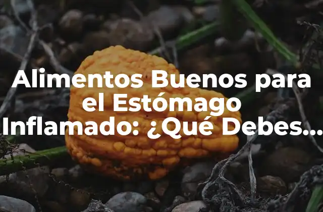 Alimentos Buenos para el Estómago Inflamado: ¿qué Debes Consumir?