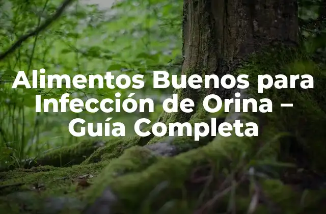 Alimentos Buenos para Infección de Orina – Guía Completa