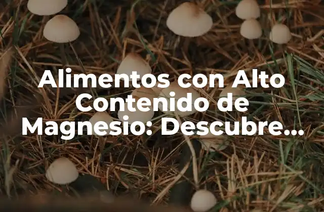 Alimentos con Alto Contenido de Magnesio: Descubre los Mejores