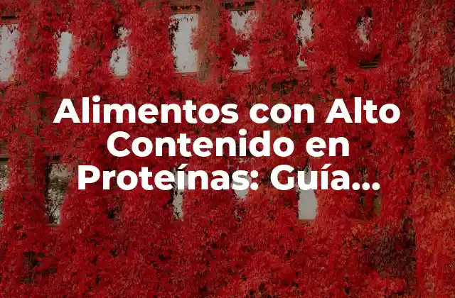 Alimentos con Alto Contenido en Proteínas: Guía Definitiva
