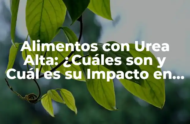 Alimentos con Urea Alta: ¿cuáles Son y Cuál es Su Impacto en la Salud?