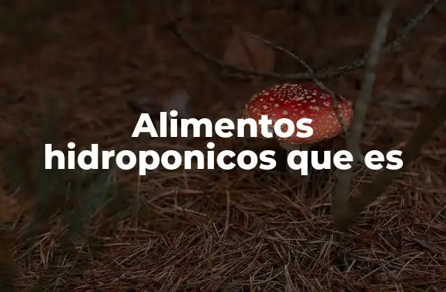 Alimentos Hidroponicos que es 2 La importancia de los alimentos cultivados sin suelo