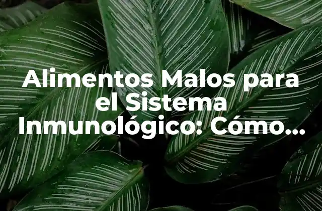 Alimentos Malos para el Sistema Inmunológico: Cómo Evitarlos para Mantener una Buena Salud