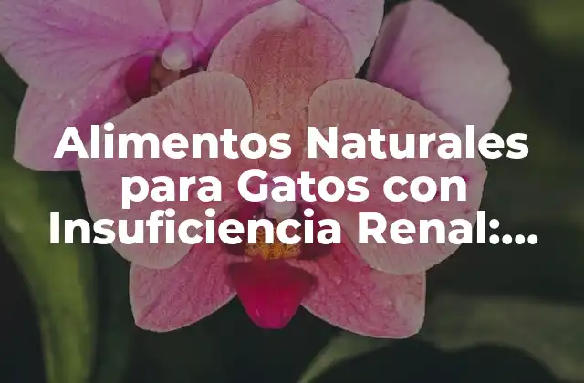 Alimentos Naturales para Gatos con Insuficiencia Renal: Guía Completa