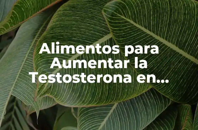 Alimentos para Aumentar la Testosterona en Hombres: Guía Completa 2 ¿Cuáles son los Alimentos que Aumentan la Testosterona de forma Natural?
