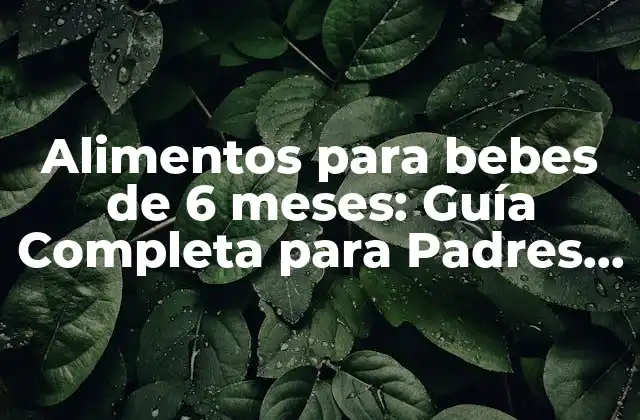 Alimentos para Bebes de 6 Meses: Guía Completa para Padres Primerizos 2 ¿Cuándo empezar a dar alimentos sólidos a mi bebé?