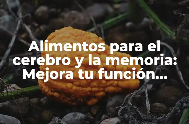 Alimentos para el Cerebro y la Memoria: Mejora Tu Función Cerebral con Estos Alimentos Poderosos