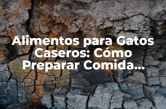 Alimentos para Gatos Caseros: Cómo Preparar Comida Saludable para Tu Felino Amigo