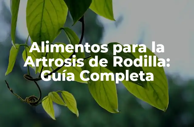 Alimentos para la Artrosis de Rodilla: Guía Completa 2 ¿Por qué la Dieta es Importante para la Artrosis de Rodilla?