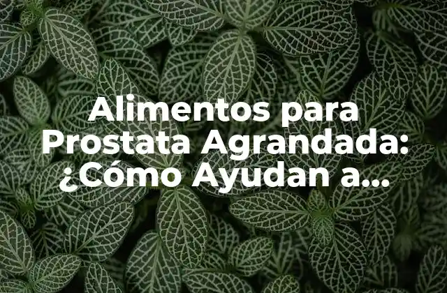 Alimentos para Prostata Agrandada: ¿cómo Ayudan a Prevenir y Tratar la Hiperplasia Prostática?