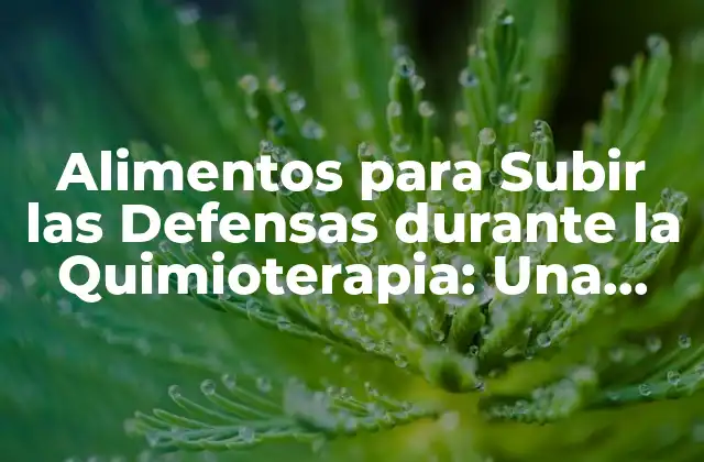 Alimentos para Subir las Defensas durante la Quimioterapia: una Guía Completa