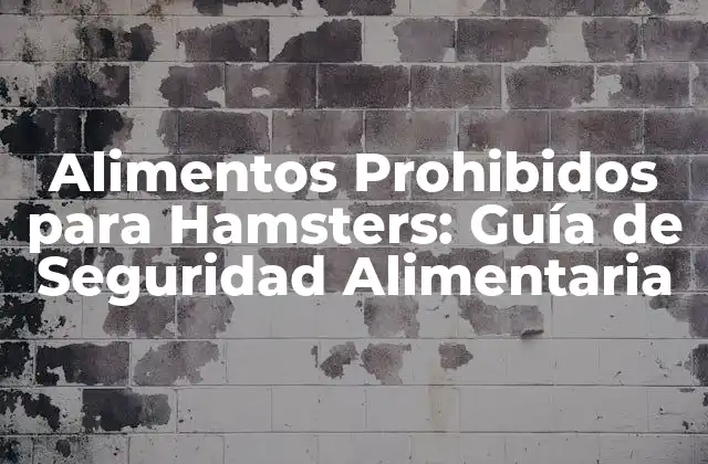 Alimentos Prohibidos para Hamsters: Guía de Seguridad Alimentaria