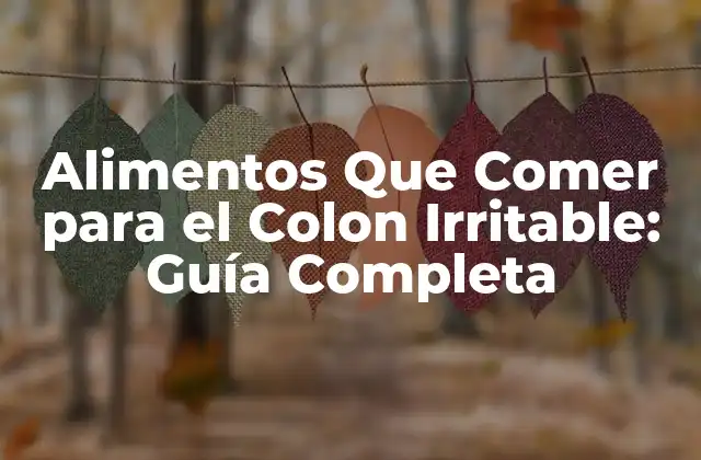 Alimentos que Comer para el Colon Irritable: Guía Completa