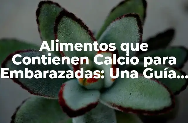 Alimentos que Contienen Calcio para Embarazadas: una Guía Completa