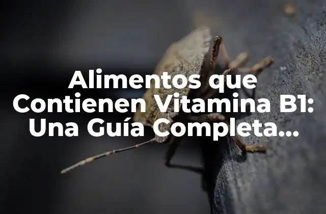Alimentos que Contienen Vitamina B1: una Guía Completa para una Salud Óptima