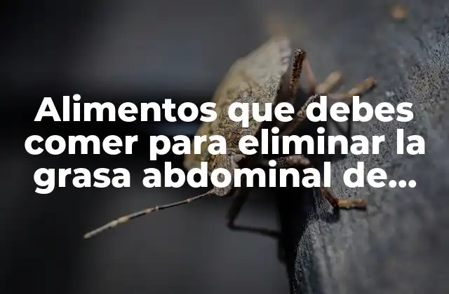 Alimentos que Debes Comer para Eliminar la Grasa Abdominal de Manera Efectiva