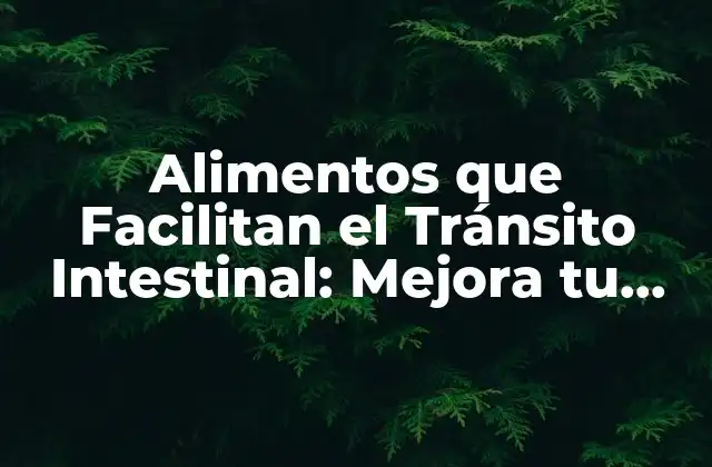 Alimentos que Facilitan el Tránsito Intestinal: Mejora Tu Salud Digestiva