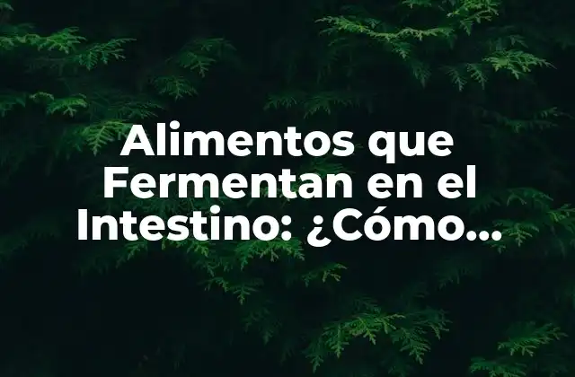 Alimentos que Fermentan en el Intestino: ¿cómo Afectan a Nuestra Salud?