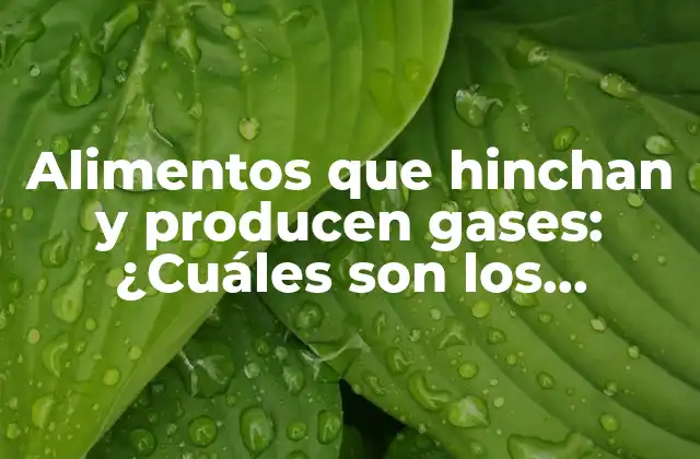 Alimentos que Hinchan y Producen Gases: ¿cuáles Son los Culpables?