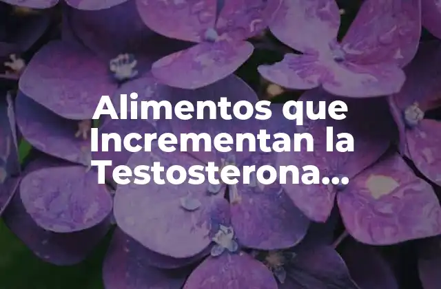 Alimentos que Incrementan la Testosterona Naturalmente
