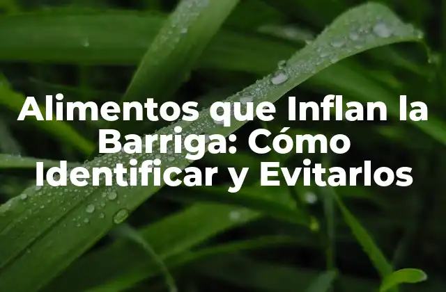 Alimentos que Inflan la Barriga: Cómo Identificar y Evitarlos
