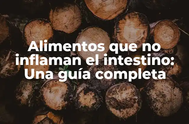 Alimentos que No Inflaman el Intestino: una Guía Completa