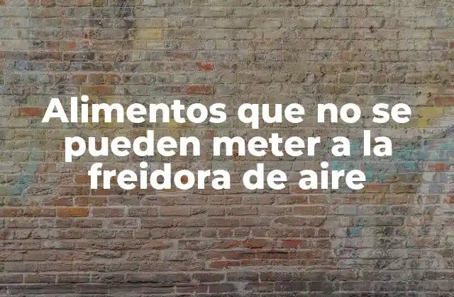 Alimentos que No Se Pueden Meter a la Freidora de Aire