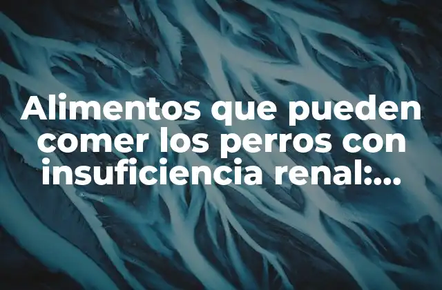 Alimentos que Pueden Comer los Perros con Insuficiencia Renal: Guía Completa