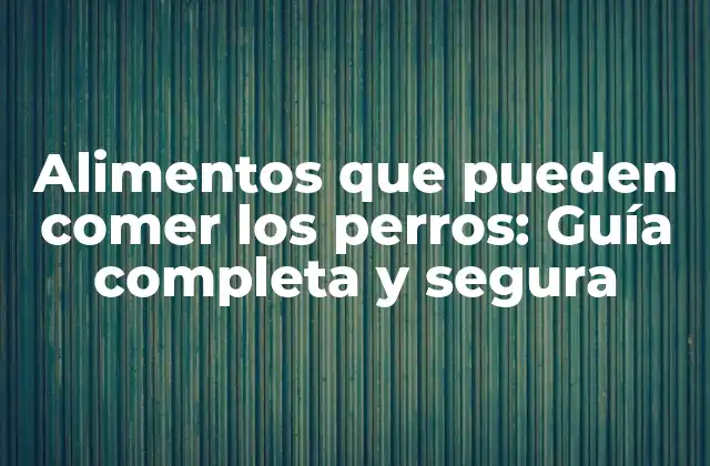 Alimentos que Pueden Comer los Perros: Guía Completa y Segura