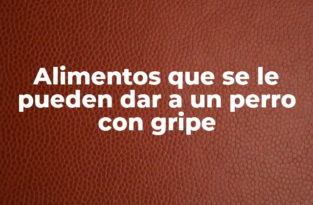 Alimentos que Se Le Pueden Dar a un Perro con Gripe