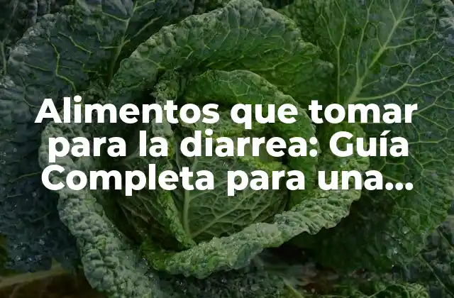 Alimentos que Tomar para la Diarrea: Guía Completa para una Recuperación Rápida