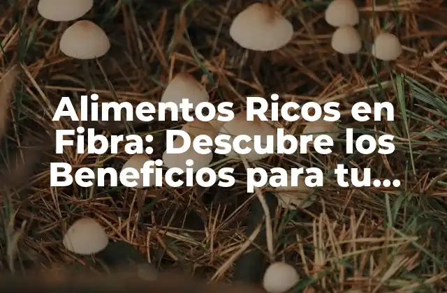 Alimentos Ricos en Fibra: Descubre los Beneficios para Tu Salud