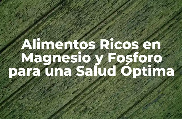 Alimentos Ricos en Magnesio y Fosforo para una Salud Óptima